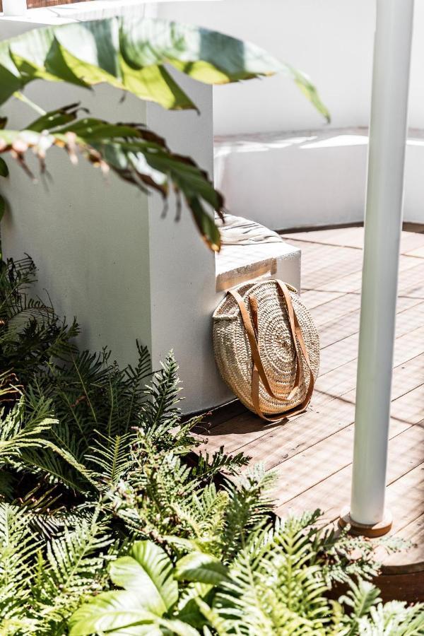 The Bungalows At Bondi Sydney Eksteriør bilde